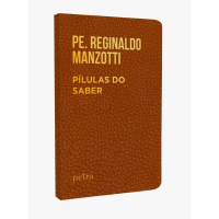 imagem de Pílulas do Saber - Padre Reginaldo Manzotti