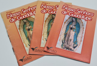 imagem de Novena a Nossa Senhora de Guadalupe